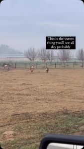 Instagram post by @girlseatbeeftoo