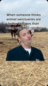 Instagram post by @girlseatbeeftoo