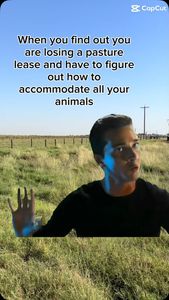 Instagram post by @girlseatbeeftoo