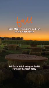 Instagram post by @aznomnoms