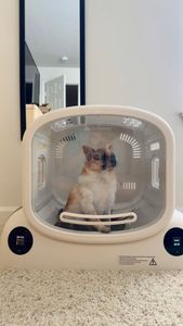 Instagram post by @theayceffect