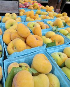 Instagram post by @georgialaurette