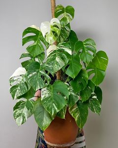 Instagram post by @georgialaurette