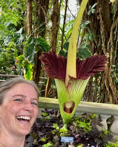 Instagram post by @georgialaurette