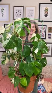 Instagram post by @georgialaurette