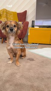 Instagram post by @tikiplustwo