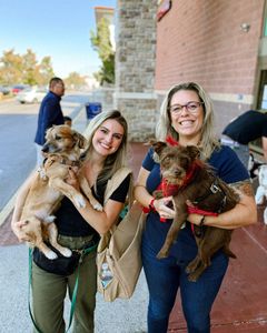 Instagram post by @tikiplustwo