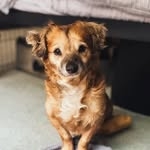 @tikiplustwo Instagram Profile