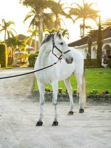 Instagram post by @listingwithlexi