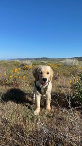 Instagram post by @kyleecampbell