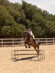 Instagram post by @kyleecampbell