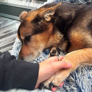 Instagram post by @laurenzside