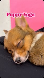 Instagram post by @theorlandho