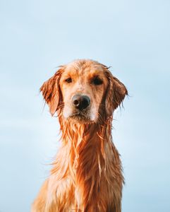 Instagram post by @goldenhoneybutter