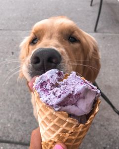 Instagram post by @goldenhoneybutter