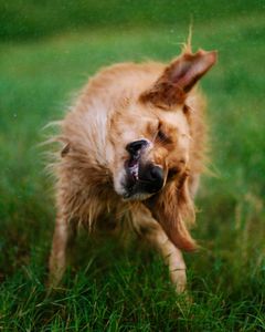 Instagram post by @goldenhoneybutter