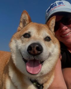 Instagram post by @meg_murnane