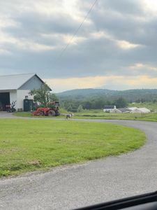 Instagram post by @meg_murnane