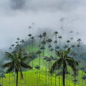 Instagram post by @jnasa