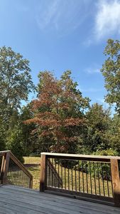 Instagram post by @sthefy22