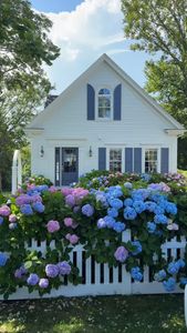 Instagram post by @sam_frawley