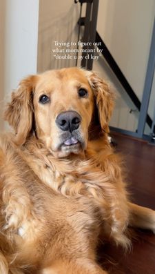 Instagram post by @goldenrcoco