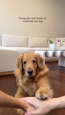 Instagram post by @goldenrcoco