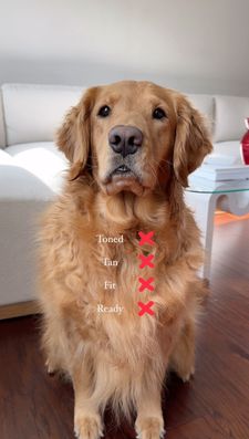 Instagram post by @goldenrcoco