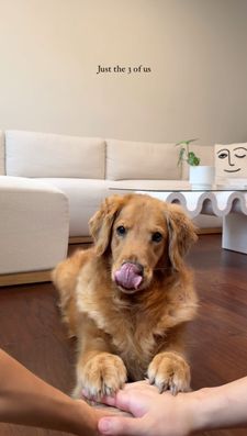 Instagram post by @goldenrcoco