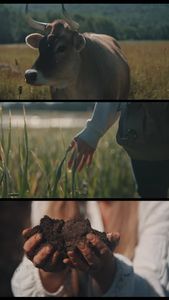 Instagram post by @timbuz