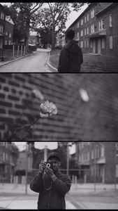 Instagram post by @timbuz