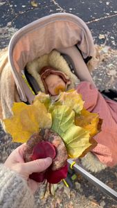 Instagram post by @shoppingcarts