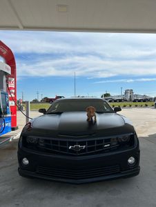 Instagram post by @cj_coe