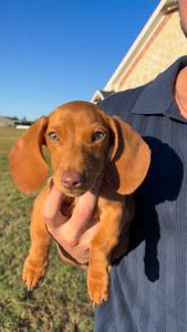 Instagram post by @cj_coe