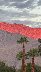 Instagram post by @beautybylevi