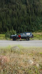 Instagram post by @apollointhewild