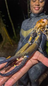 Instagram post by @_tiffanysilver