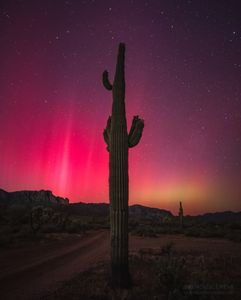 Instagram post by @reminiscement