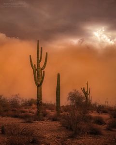 Instagram post by @reminiscement