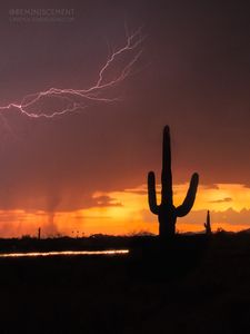 Instagram post by @reminiscement