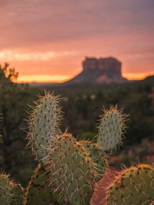 Instagram post by @reminiscement