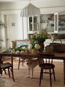 Instagram post by @kendallknox