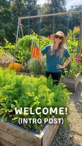 Instagram post by @deannacat3