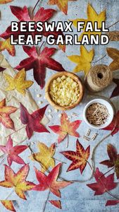 Instagram post by @deannacat3