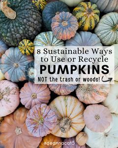 Instagram post by @deannacat3