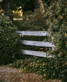 Instagram post by @farmhousefun.co