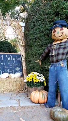 Instagram post by @farmhousefun.co