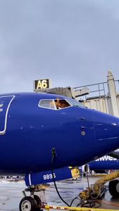 Instagram post by @captainmattymo