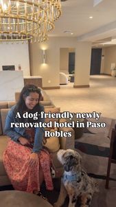 Instagram post by @vinoforbreakfast