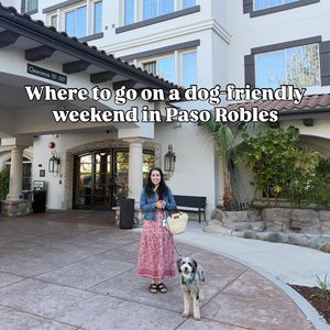 Instagram post by @vinoforbreakfast